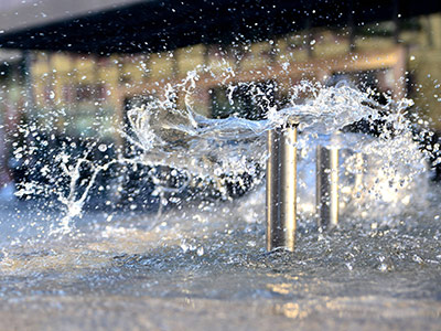 九真镇企业风采