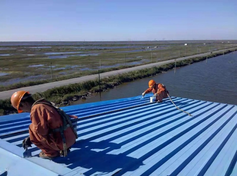 九真镇彩钢瓦屋面防腐翻新